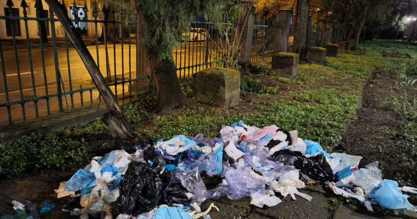 videofoto deseuri medicale aruncate in parcul cismigiu o clinica stomatologica din bucuresti a fost amendata cu 70 000 de lei 69d3cc2e01476