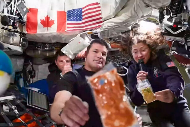 videofoto meniul care pluteste in capsula misiunii artemis 2 include 189 de feluri de mancare acesta este un cocktail de creveti 69d63e1362c69