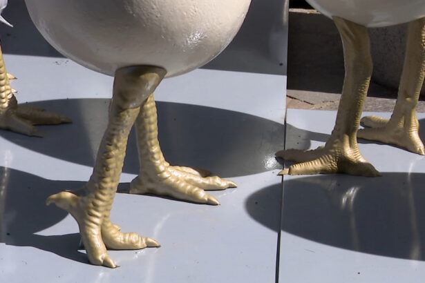 videofoto ouale cu picioare au declansat un scandal la timisoara dupa ce au fost amplasate langa o statuie conflict intre artist si primarie 69d4d0743b460