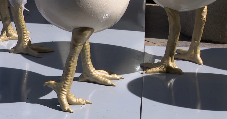 videofoto ouale cu picioare au declansat un scandal la timisoara dupa ce au fost amplasate langa o statuie conflict intre artist si primarie 69d4d0743b460