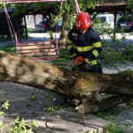 videofoto vantul a facut ravagii in tara un mort peste 100 de copaci cazuti si sute de interventii care sunt judetele cele mai afectate 69ef125b84d29