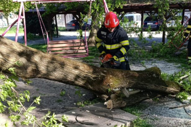 videofoto vantul a facut ravagii in tara un mort peste 100 de copaci cazuti si sute de interventii care sunt judetele cele mai afectate 69ef125b84d29