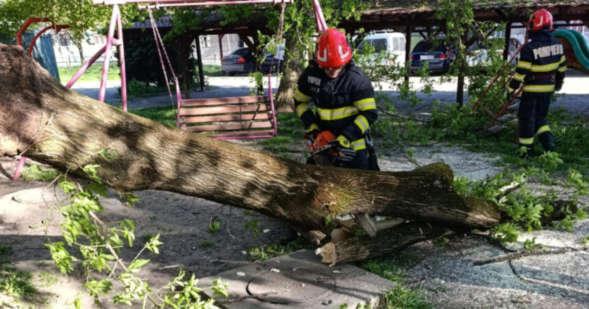 videofoto vantul a facut ravagii in tara un mort peste 100 de copaci cazuti si sute de interventii care sunt judetele cele mai afectate 69ef125b84d29