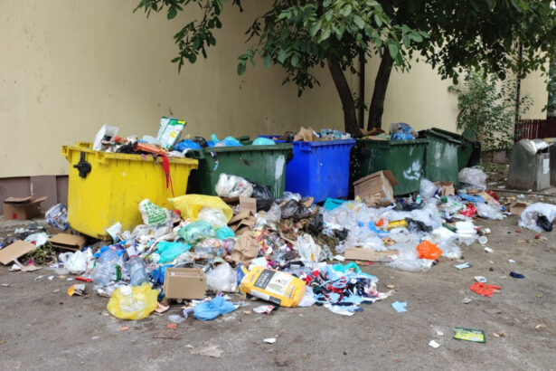65 de localitati din judetul bacau au ramas fara servicii de salubrizare a fost declarata stare de alerta 69f625262713d