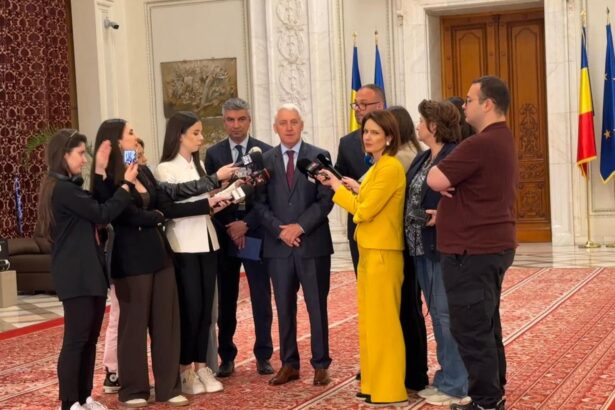 aep lucreaza la o lege pentru finantarea partidelor politice si a campaniilor electorale prin care sa vina cu un cod electoral 6a0c9769b96c6