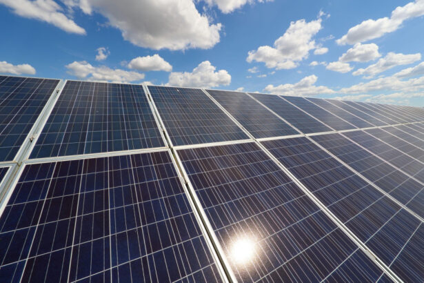 analiza cum a ajuns romania sa vanda ieftin energie in bulgaria si sa o reimporte de 7 ori mai scump rezultatul unei proaste planificari 6a01e3fe1f6e7