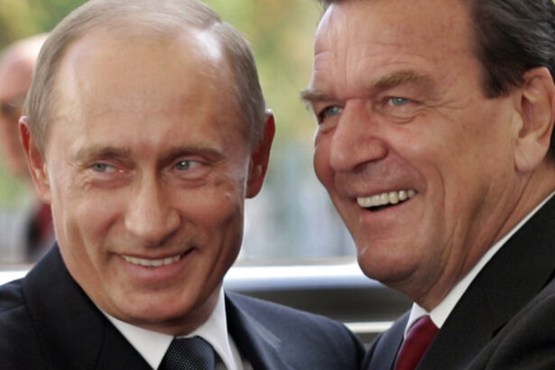 analiza germania sceptica fata de propunerea kremlinului ca schroeder sa medieze pacea din ucraina prietenia fostului cancelar cu putin 6a00946c1861b