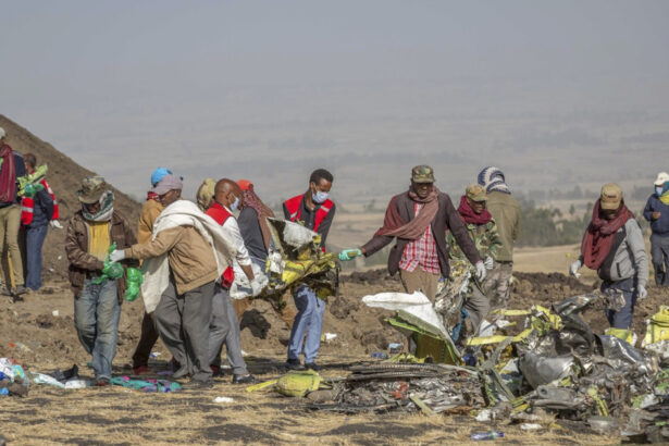 boeing obligat sa plateasca 495 milioane de dolari familiei unei tinere ucise in prabusirea unui 737 max al ethiopian airlines 6a06beef88c22