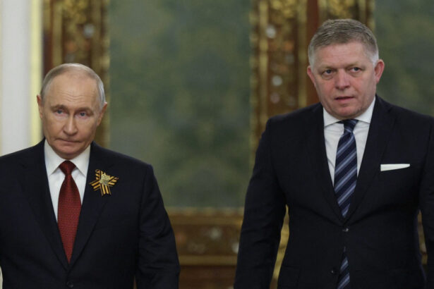 ce i a promis vladimir putin lui robert fico la intalnirea de la kremlin 69ff93c7cdb73