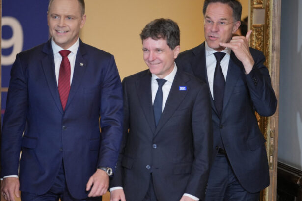 ce inseamna nato 3 0 explicatiile lui mark rutte si cele ale lui nicusor dan privind viitorul aliantei 6a049026537c4