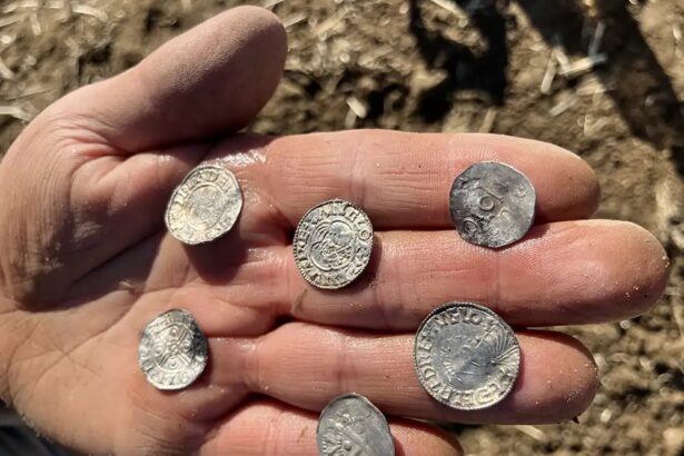 cel mai mare tezaur de monede vikinge descoperit vreodata in norvegia 69fde044bf842