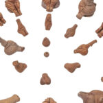 civilizatia cucuteni trypillia a fost inclusa pe listele indicative unesco 69fc9944bff22