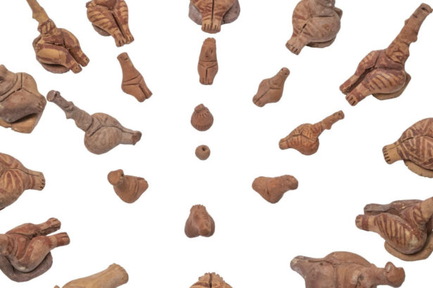 civilizatia cucuteni trypillia a fost inclusa pe listele indicative unesco 69fc9944bff22