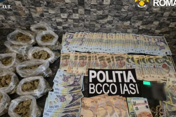 cocaina vanduta intr o vulcanizare din iasi cinci persoane au fost arestate preventiv 6a0daed804125