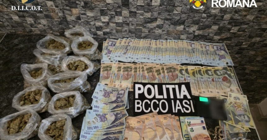 cocaina vanduta intr o vulcanizare din iasi cinci persoane au fost arestate preventiv 6a0daed804125