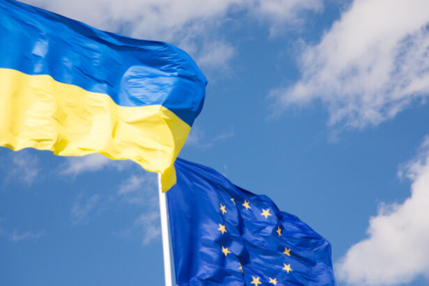 comisarul pentru extindere marta kos spune ca e imposibil ca ucraina sa adere la ue in 2027 si propune o alternativa 69f8bd01d70bc