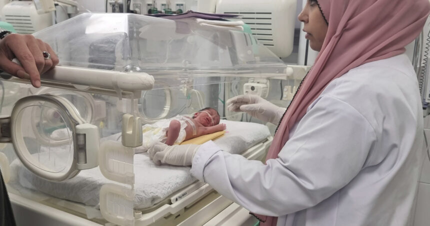 criza de malnutritie artificiala intretinuta de israel in fasia gaza acuzatiile organizatiei medici fara frontiere 69fc3d7b92509