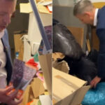 cum au incercat oamenii lui viktor orban sa distruga probe dupa ce au pierdut puterea descoperirea facuta de peter magyar 6a0ada1e797c5