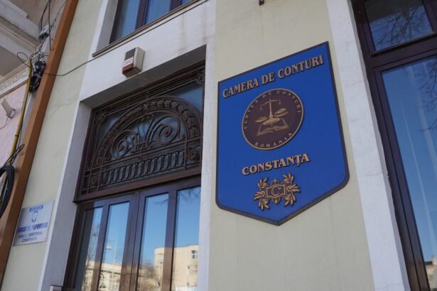 curtea de conturi misiune de verificare la golderm mangalia ce masura trebuie sa adopte urgent societatea 6a0a45c9573be