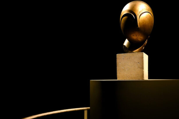 danaida lui brancusi a devenit a doua cea mai scumpa sculptura din istorie dupa licitatia in care s a vandut la un pret record 6a0cae4a36ac1
