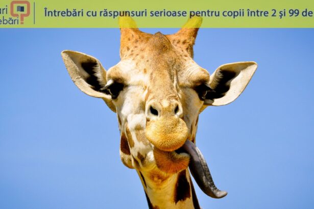 de ce au girafele limba mov inchis 69ff864827194