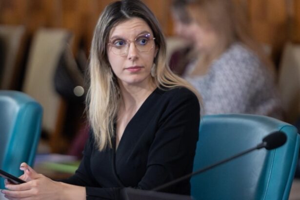 diana buzoianu programul rabla 2026 va pune accent pe masinile produse sau asamblate in europa 6a002b9ee3805
