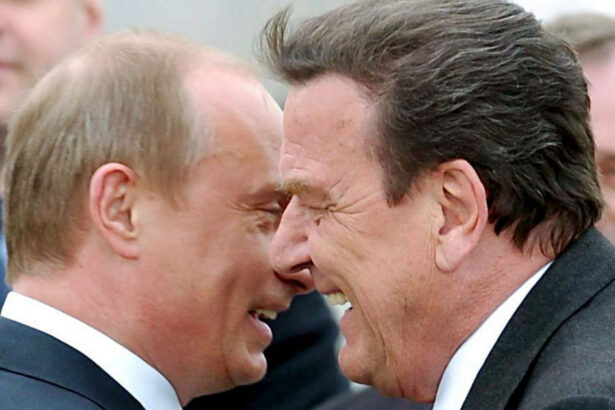 diviziune la berlin putin testeaza germania cu propunerea toxica de mediere a pacii cu ucraina prin folosirea lui schroder 6a01dee3b7473