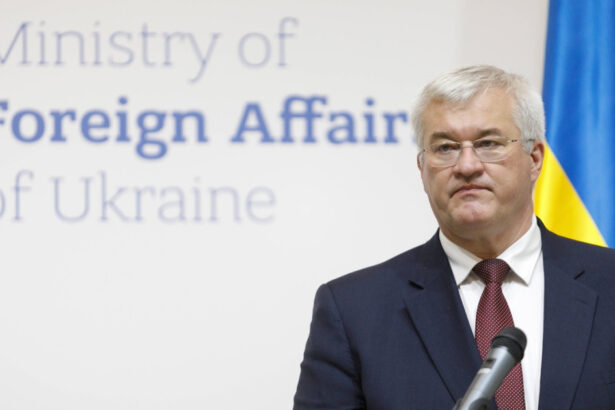 dupa israel ucraina acuza inca o tara ca accepta grau furat din teritoriile ucrainene ocupate de rusia 69fa1c9165ffc