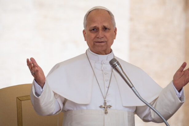 episcopiii francezi spun ca papa leon al xiv lea ar putea face o vizita la paris si lourdes in septembrie vaticanul nu a confirmat 69fba65b4e8c5
