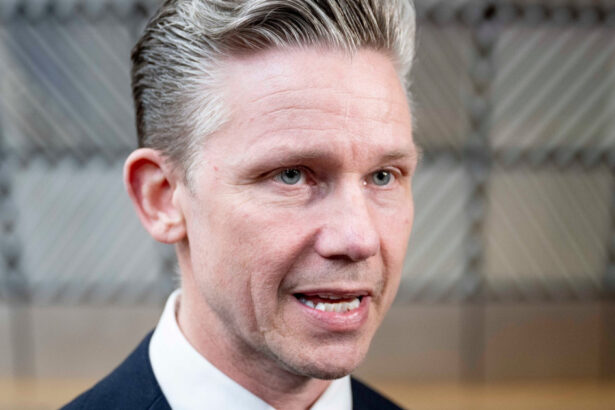 exclusiv pal jonson ministrul suedez al apararii daca romania si flancul estic al nato sunt puternice la fel e si flancul nordic 6a04e0cfaa911