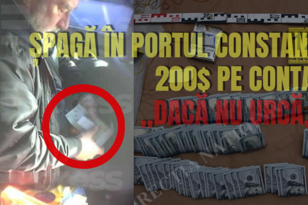 exclusiv stenograme dna constanta la bucuresti nu a ajuns niciun fir de matura declaratia colaboratorului sub acoperire vamesii vorbeau despre oameni tocati cu co 6a0d03611002a
