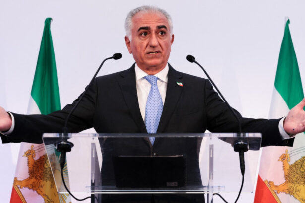 fiul ultimului sah al iranului il critica pe trump pentru ca transmite semnale contradictorii nu trebuie sa ratezi ocazia 6a03a7ecc76c6