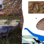galerie foto ultimul titan al asiei de sud est descoperit in thailanda dinozaurul de 28 de tone ar fi fost cel mai mare din regiune 6a0a9e592c710