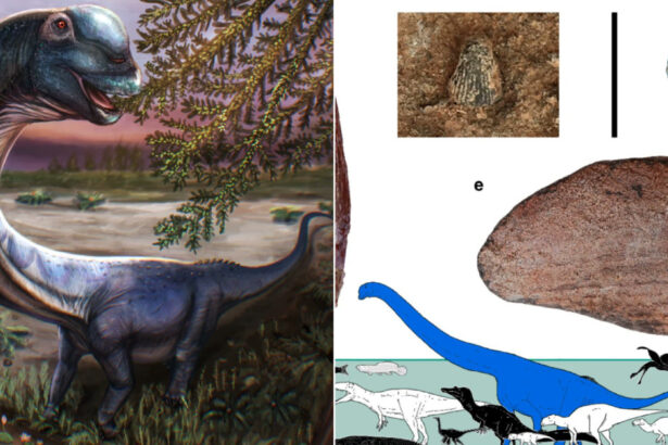 galerie foto ultimul titan al asiei de sud est descoperit in thailanda dinozaurul de 28 de tone ar fi fost cel mai mare din regiune 6a0a9e592c710