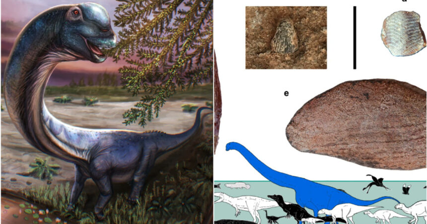 galerie foto ultimul titan al asiei de sud est descoperit in thailanda dinozaurul de 28 de tone ar fi fost cel mai mare din regiune 6a0a9e592c710