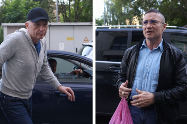 interventii in dosare si presiuni cu anchete penale cum ar fi abuzat procurorii gigi stefan si teodor nita de functiile lor surse 6a070c7a137e9