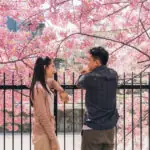 japonia se ofera sa subventioneze persoanele singure pentru a folosi aplicatiile de intalniri 69f663d67a39e