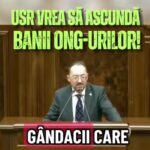 legea transparentei ong urilor senatorul sava trimite usr ul sa caute finantatorii gandacilor video 6a0c4a34d9e44