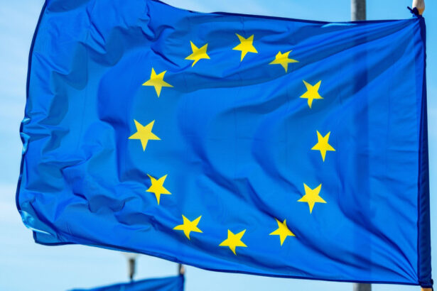 mai multi europarlamentari solicita o uniune a apararii si independentei fata de nato a te baza exclusiv pe sua e un joc periculos 69ff34deb4ae3
