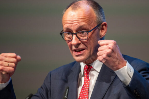 mesajul surprinzator al lui friedrich merz nu le as recomanda copiilor mei sa mearga in sua la studii sau la munca 6a072169b6d9e