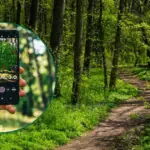 ministerul mediului pregateste o noua varianta a aplicatiei sumal anuntul dianei buzoianu 6a01fd86ceb31