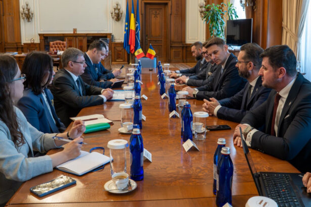 mircea abrudean la intalnirea cu igor grosu sprijinul romaniei pentru r moldova reprezinta o constanta a statului roman 6a031dcb63a5a