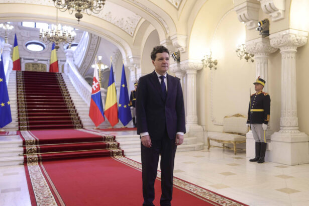 nicusor dan nu e vorba de o alegere intre ue si sua cu cat europa este mai puternica cu atat nato este mai puternica 6a02dc04e60d7
