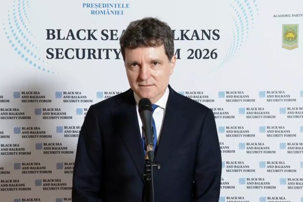 nicusor dan vireaza spre americani la black sea and balkans security forum este nevoie de colaborare intre statele care gandesc la fel 6a02e54a5f7b9