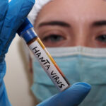 numarul de cazuri va creste avertismentul oms privind infectarile cu hantavirus 6a0325d770c25