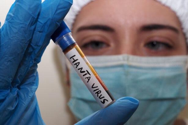 numarul de cazuri va creste avertismentul oms privind infectarile cu hantavirus 6a0325d770c25