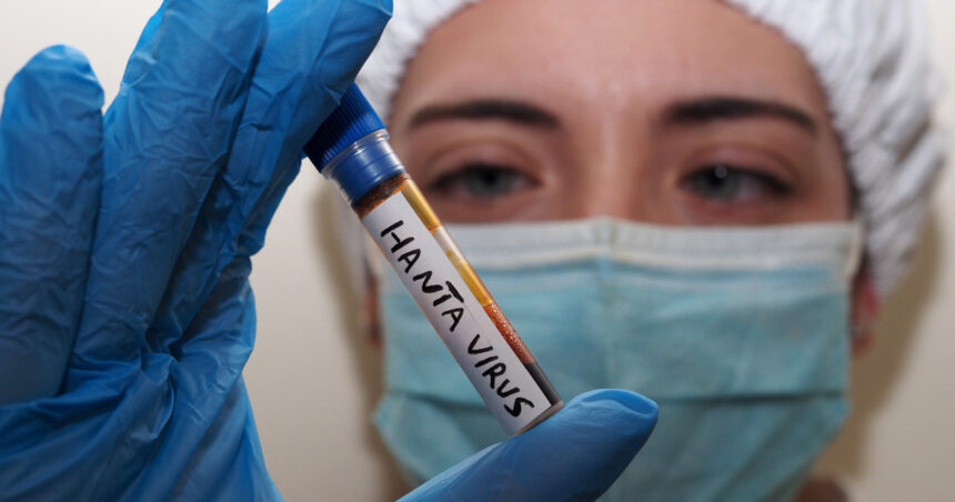 numarul de cazuri va creste avertismentul oms privind infectarile cu hantavirus 6a0325d770c25