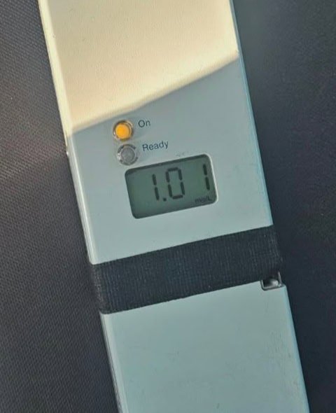 o femeie beata la volan a intrat cu masina intr un copac in judetul tulcea vezi ce alcoolemie avea 69fb0edf930af