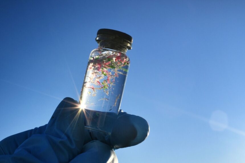 oamenii de stiinta au creat alge care ar putea elimina microplasticul din apa potabila 6a09e80eed6e5