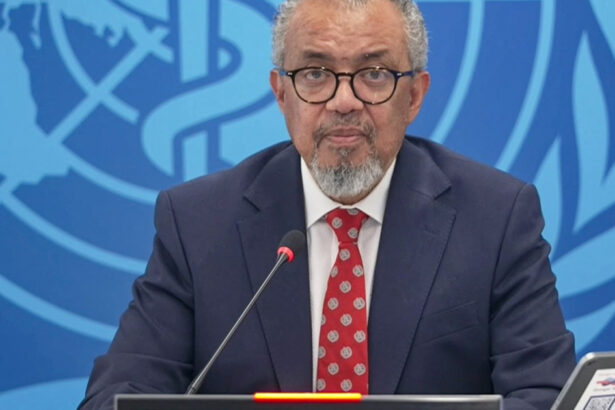 oms despre alerta privind hantavirusul nici inceputul unei epidemii nici al unei pandemii 69fcb1e62a76c